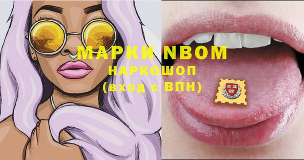 СК Зерноград